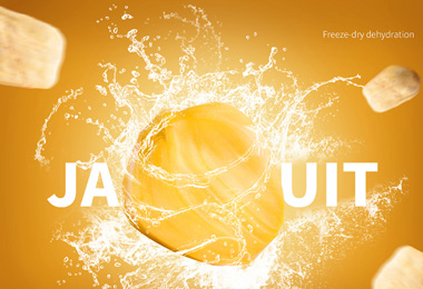 石家莊食品的包裝設(shè)計_石家莊食品的包裝設(shè)計公司